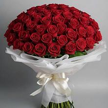 Букет 101 Красная роза Блэк Мэджик в Цимлянском