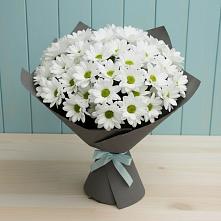 Букет цветов из:  Хризантемы в Цимлянском