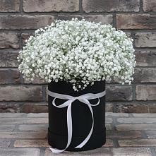 Цветочная композиция из Гипсофила в шляпной коробке в Цимлянском
