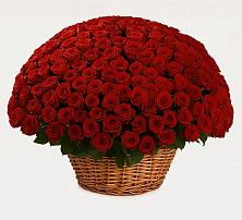 Премиум букет из: Розы в Цимлянском